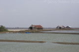 Salt farm at Laem Phak Bia