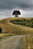 Shakespear Regional Park, Whangaparaoa