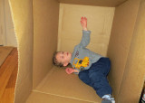 I love my box soo much, I want to sleep in it.  IMG_0068c.jpg