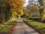 Bulby Lane, Fulbeck