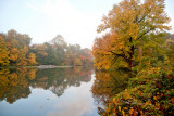 306, Larchmont Reservoir