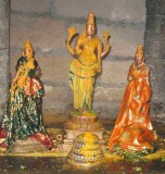 Sri Perumal during Tirumanjanam.JPG