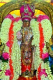 Kanchi Periya Perumal Sri Yathokthakari ( Sonna Vannam seitha perumal ) Avathara Uthsavam