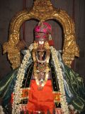Alavandar on his Thiruavatara dinam - 2006 - Thiruvallikeni - Aadi UthrAdam-1.JPG