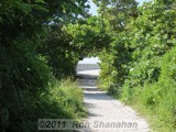 SX40 HS_IMG_0177.jpg