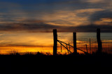 Sunset at the Fence Corner