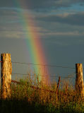 Rainbow & Fence