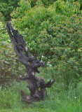 Old oak from a moor with tree sparrows