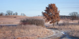 Well-worn Trail 