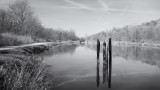 Canal Pilings 