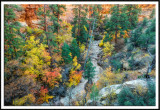 Above Clear Creek Wash 