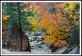 Clear Creek Wash