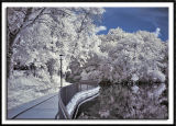 Lake of the Isles Walkway