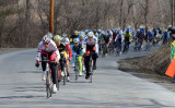 DSC_21784ps PF.jpg