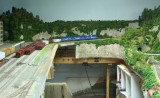 IMG_9525.JPG