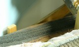 Close up view of the track just inside the tunnel.