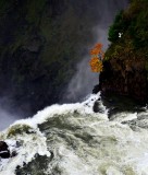 precarious location, Snoqualmie Falls, Washington 