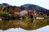 Perfect reflection Kyoto, Japan 2000 