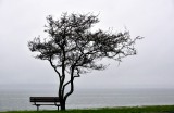 Overlooking Puget Sound, Me-Kwa-Mooks Park, Beach Dr SW, West Seattle  