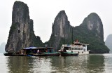 Floating Village, Ha Long 10 Junk,  Ha Long Bay, Vietnam 