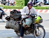 Have Goats will travel, Ben Tre, Mekong Delta, Vietnam  