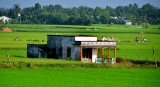 family farm and tombs, Mekong Delta, Vietnam 