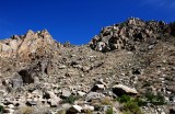 Santa Rosa Mtn, Chino Canyon, Palm Spring, CA   