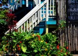 entrance, Hawi, Hawaii  