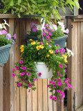 flowerbasket.jpg