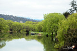 Deloraine, Tasmania