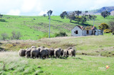 On the way, Tasmania