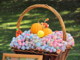 Mesquite Pumpkin Festival