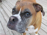 Me in his eyes