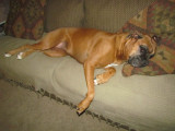I see you Mom! I'm Sleeping