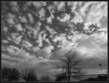 Pretty Sky during Dog Walk