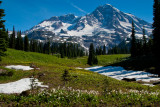 Mt. Rainier at Indian Henrys Hunting Ground