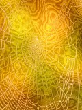 Autumns Web