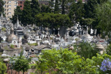View overlooking Recoleta Cemetery