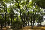 Plaza San Martin, in the Retiro section of Buenos Aires