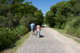 Walking path in the Reserva Ecologica