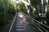 One of many well-constructed walkways in the national park