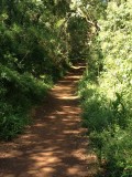 Macuco Trail at Iguazu Falls