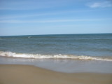 IMG_4447.JPG