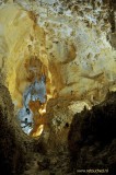 111 New Mexico Carlsbad Caverns.jpg