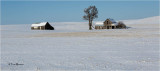 Lincoln Co  Homestead 