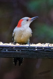 10/27/2012 - _MG_8605.jpg