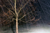 11/23/2012 - _MG_8788.jpg