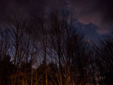 12/04/2012 - IMG_3451.jpg