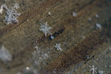 01/27/2013 - _MG_9325.jpg