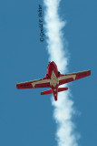   Snowbird   12